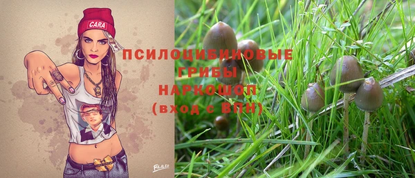 spice Медвежьегорск