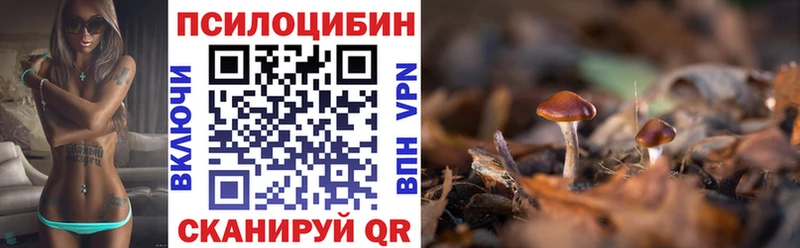 даркнет как зайти  Спас-Клепики  Галлюциногенные грибы прущие грибы  blacksprut маркетплейс 
